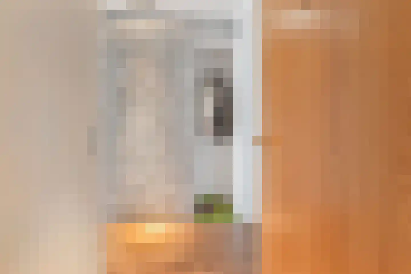 Lage Zand 502 Den Haag thumbnail 9