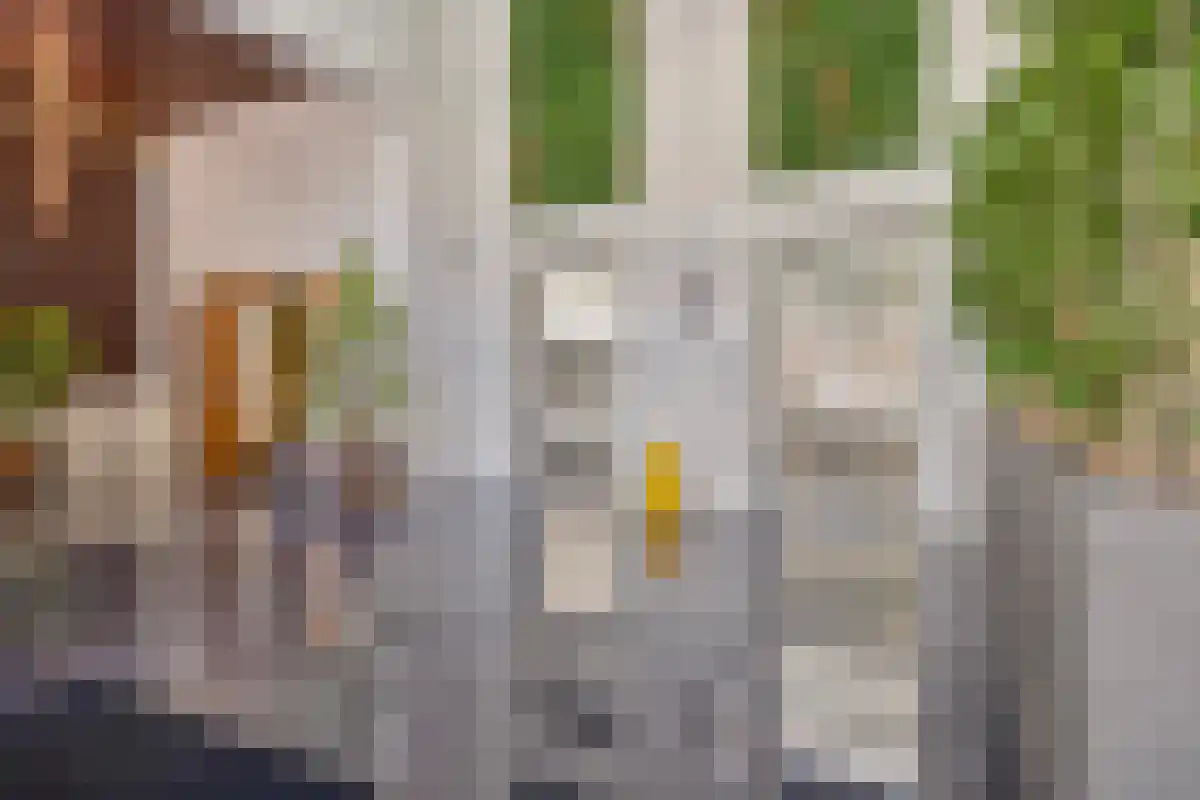 Lage Zand 54 Den Haag thumbnail 4