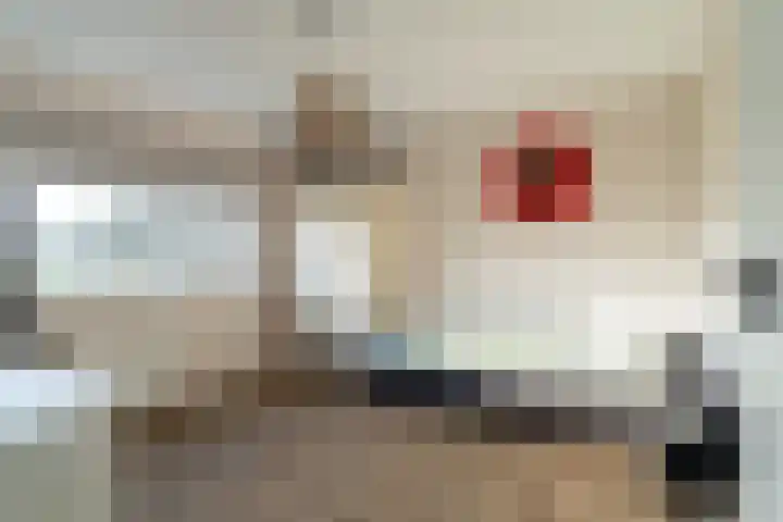 Lage Zandschel 26 B Kaatsheuvel thumbnail 20
