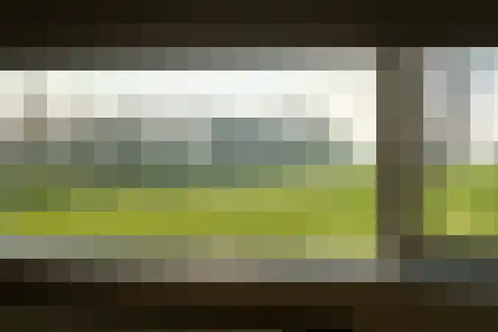 Lage Zandschel 26 B Kaatsheuvel thumbnail 21