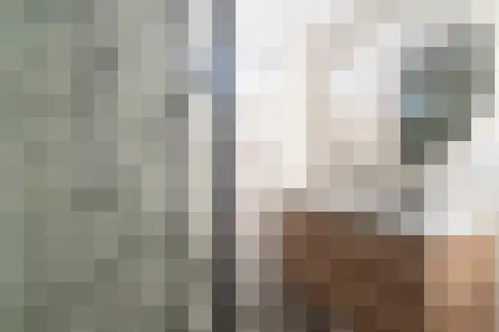 Lage Zandschel 26 B Kaatsheuvel thumbnail 26
