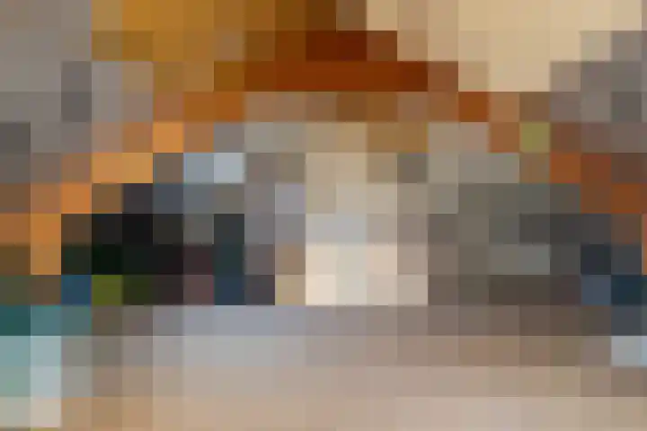 Lage Zandschel 26 B Kaatsheuvel thumbnail 28