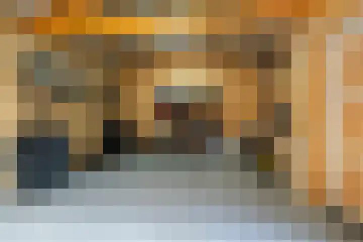 Lage Zandschel 26 B Kaatsheuvel thumbnail 31
