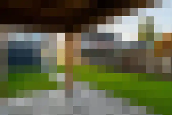 Lage Zandschel 26 B Kaatsheuvel thumbnail 32
