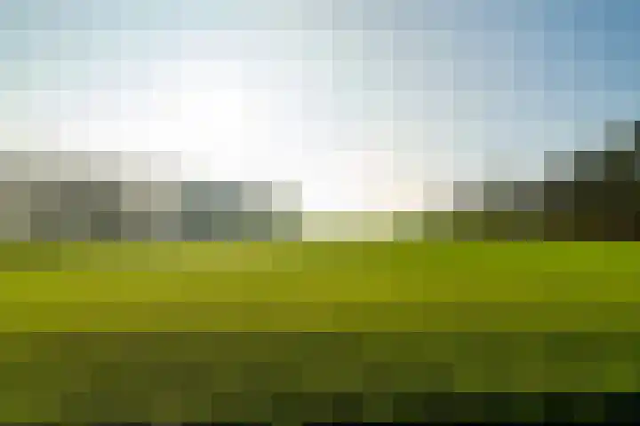 Lage Zandschel 26 B Kaatsheuvel thumbnail 5