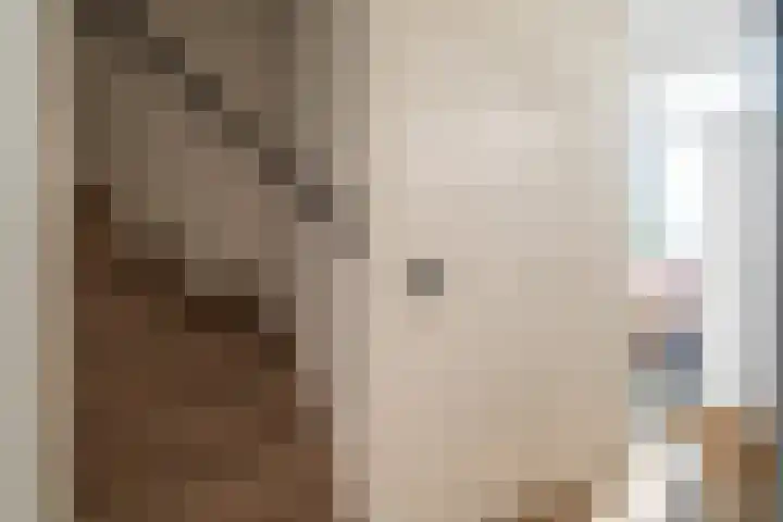 Lage Zandschel 26 B Kaatsheuvel thumbnail 8