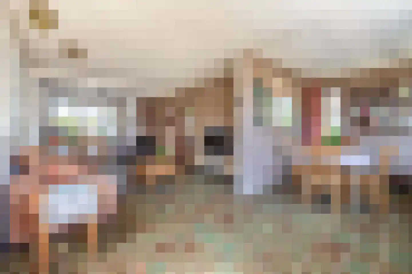 Lage Zandschel 4 Kaatsheuvel thumbnail 12