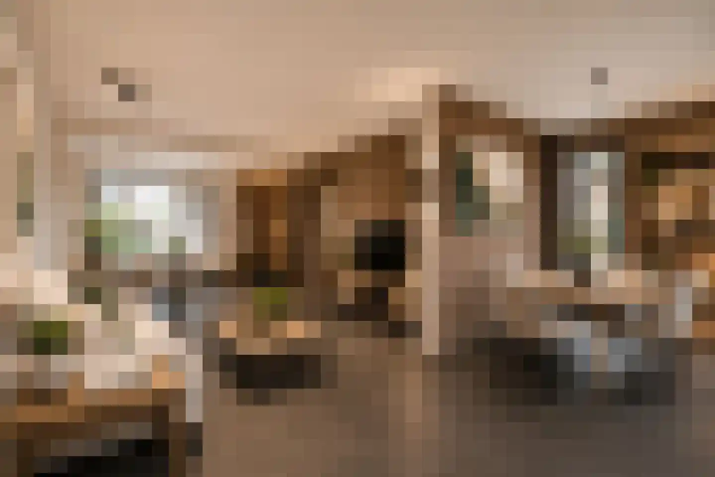 Lage Zandschel 4 Kaatsheuvel thumbnail 13