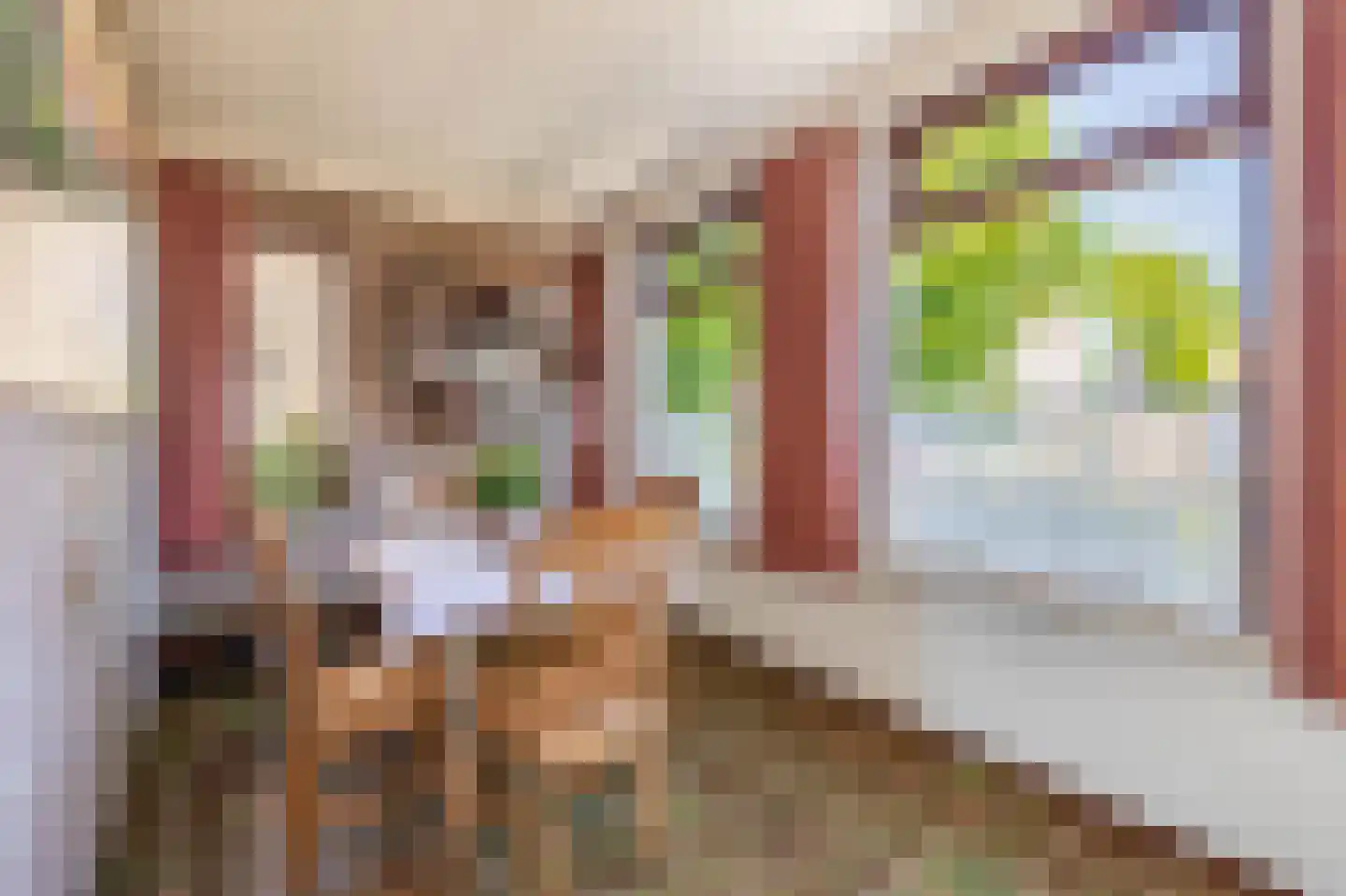 Lage Zandschel 4 Kaatsheuvel thumbnail 16