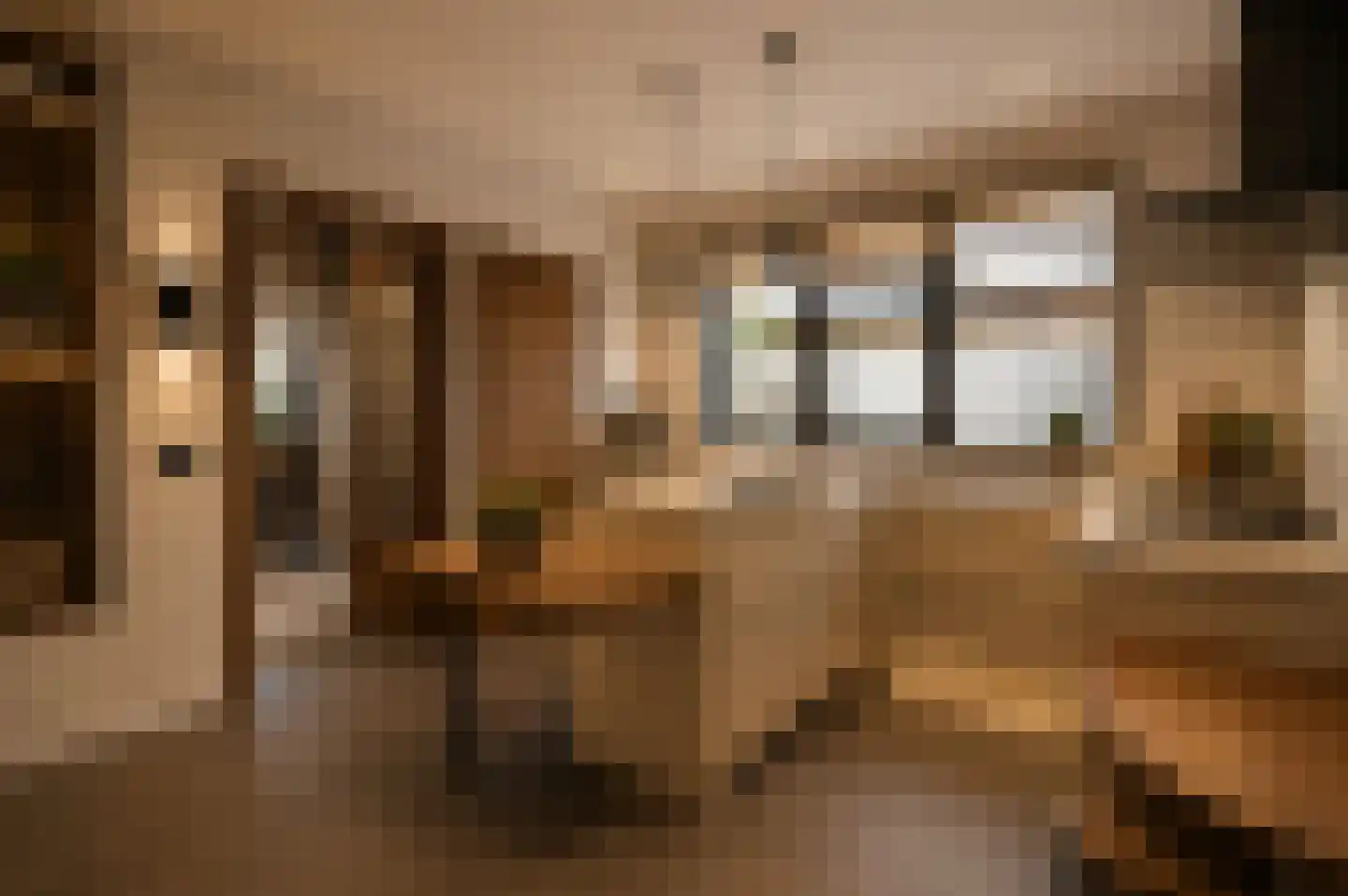 Lage Zandschel 4 Kaatsheuvel thumbnail 19