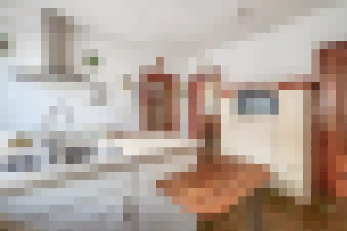 Lage Zandschel 4 Kaatsheuvel thumbnail 20