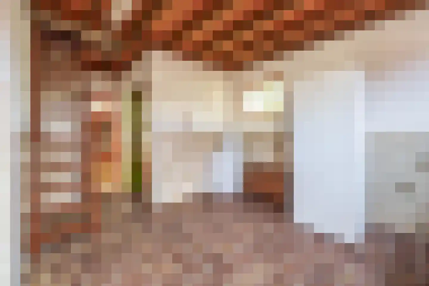 Lage Zandschel 4 Kaatsheuvel thumbnail 21