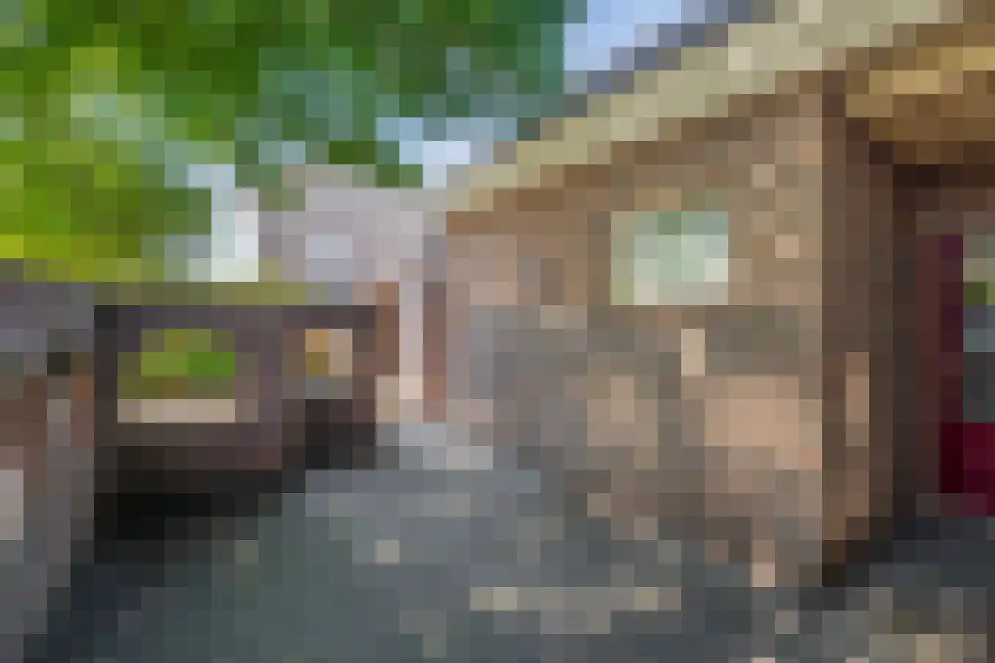 Lage Zandschel 4 Kaatsheuvel thumbnail 23