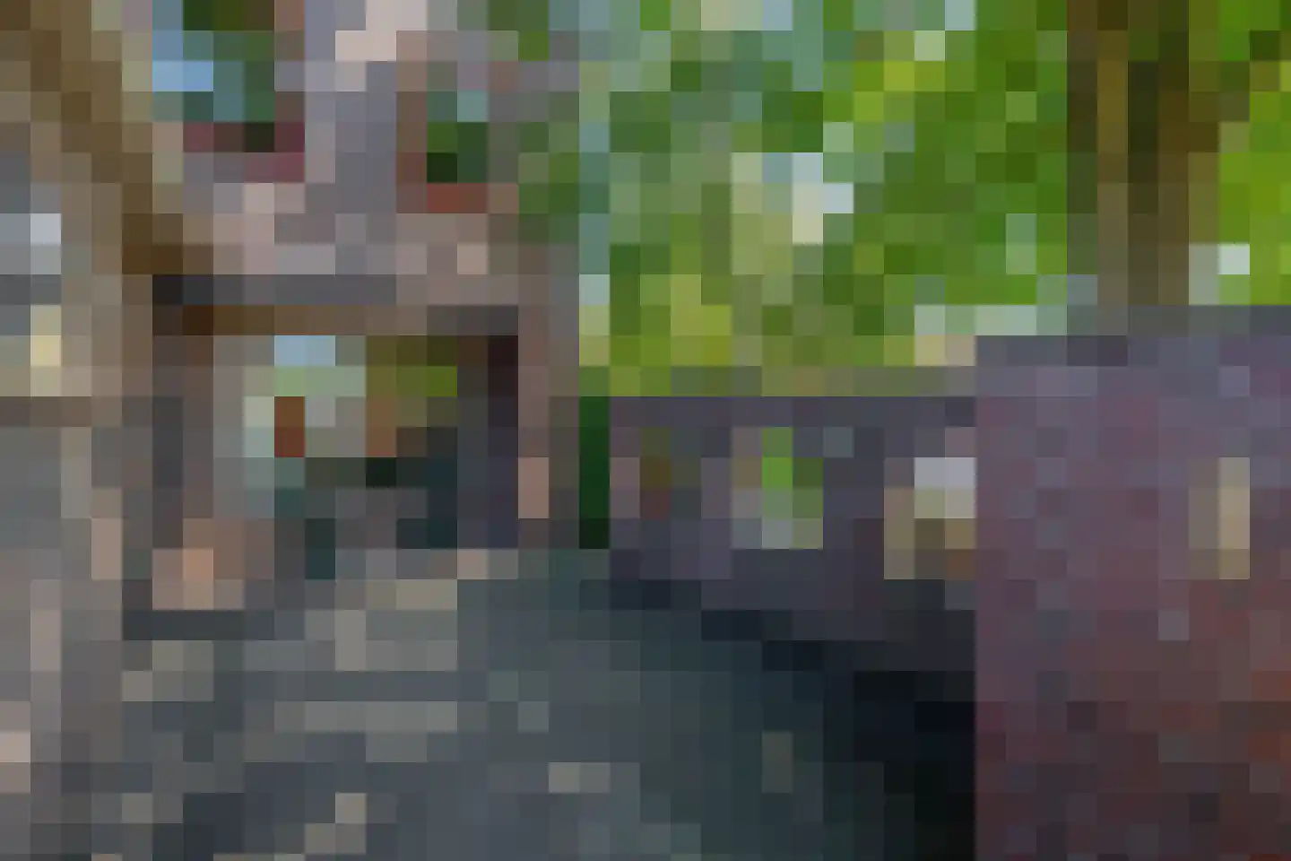 Lage Zandschel 4 Kaatsheuvel thumbnail 25