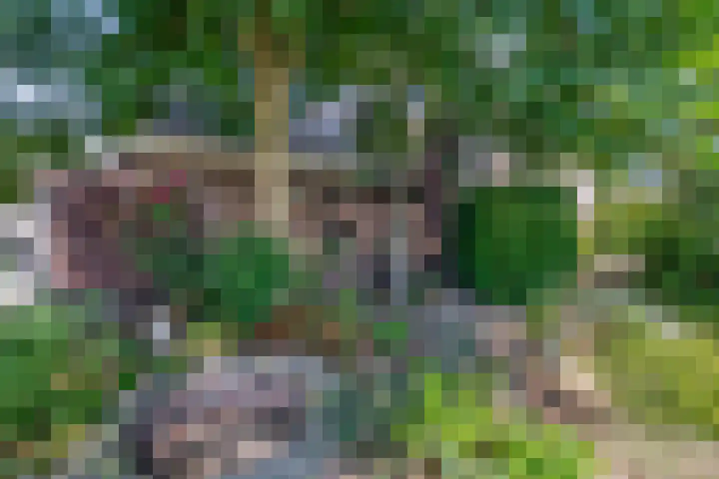 Lage Zandschel 4 Kaatsheuvel thumbnail 27
