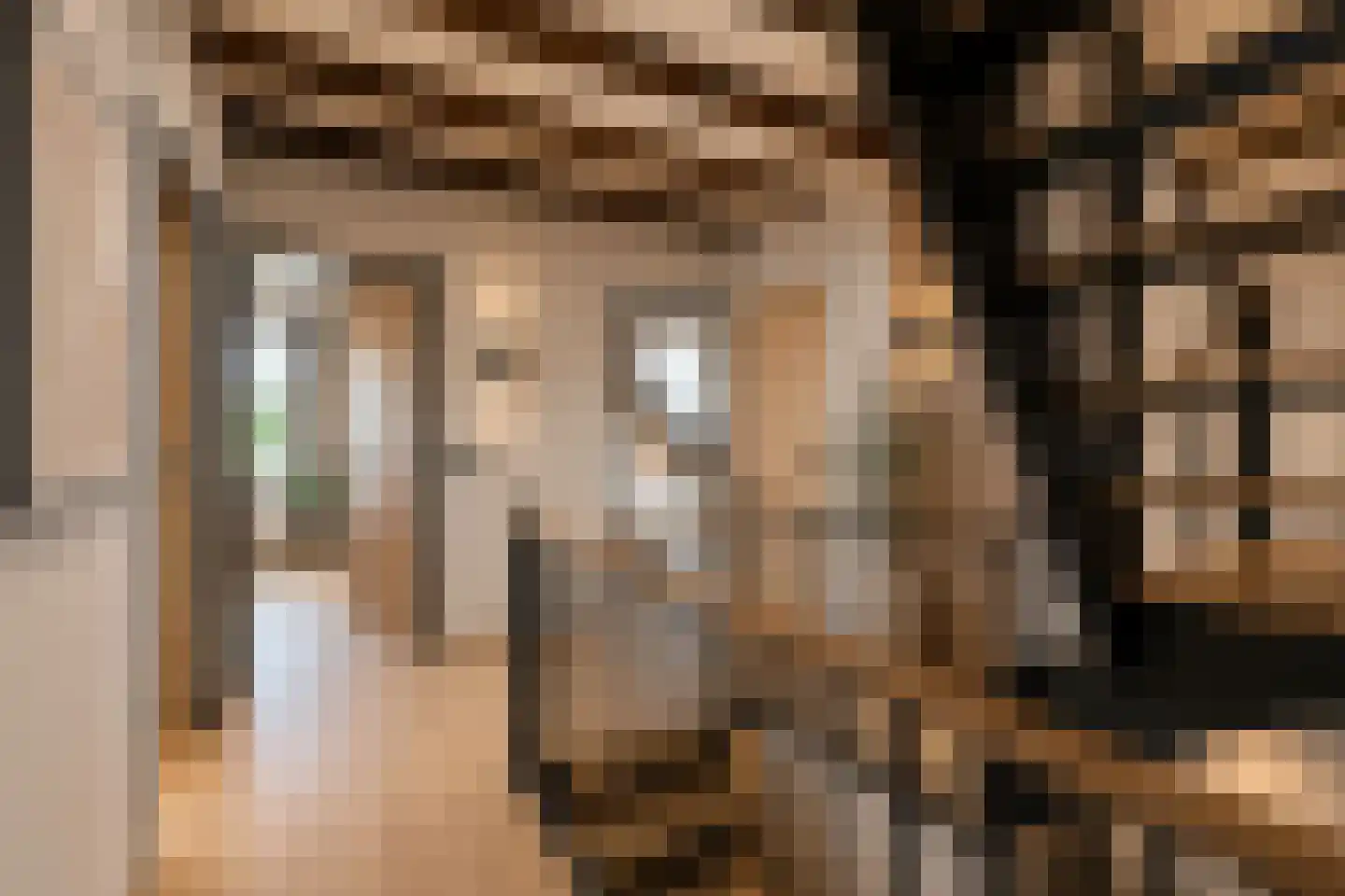 Lage Zandschel 4 Kaatsheuvel thumbnail 30