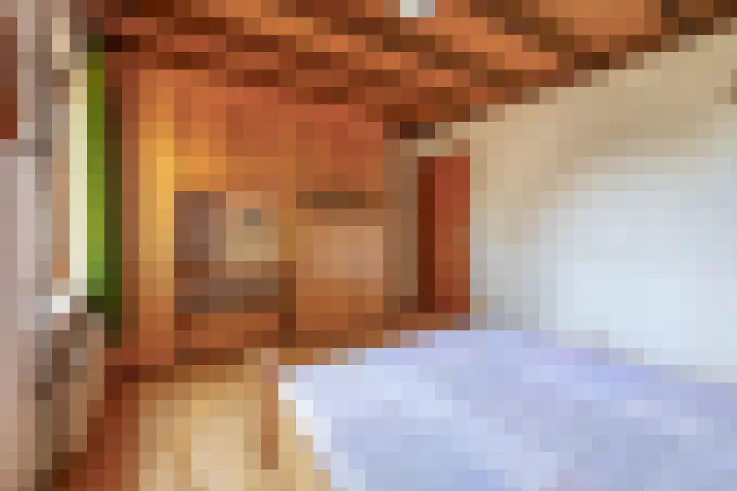 Lage Zandschel 4 Kaatsheuvel thumbnail 34