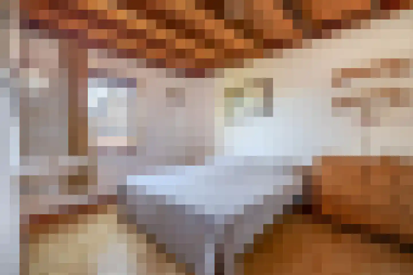Lage Zandschel 4 Kaatsheuvel thumbnail 36
