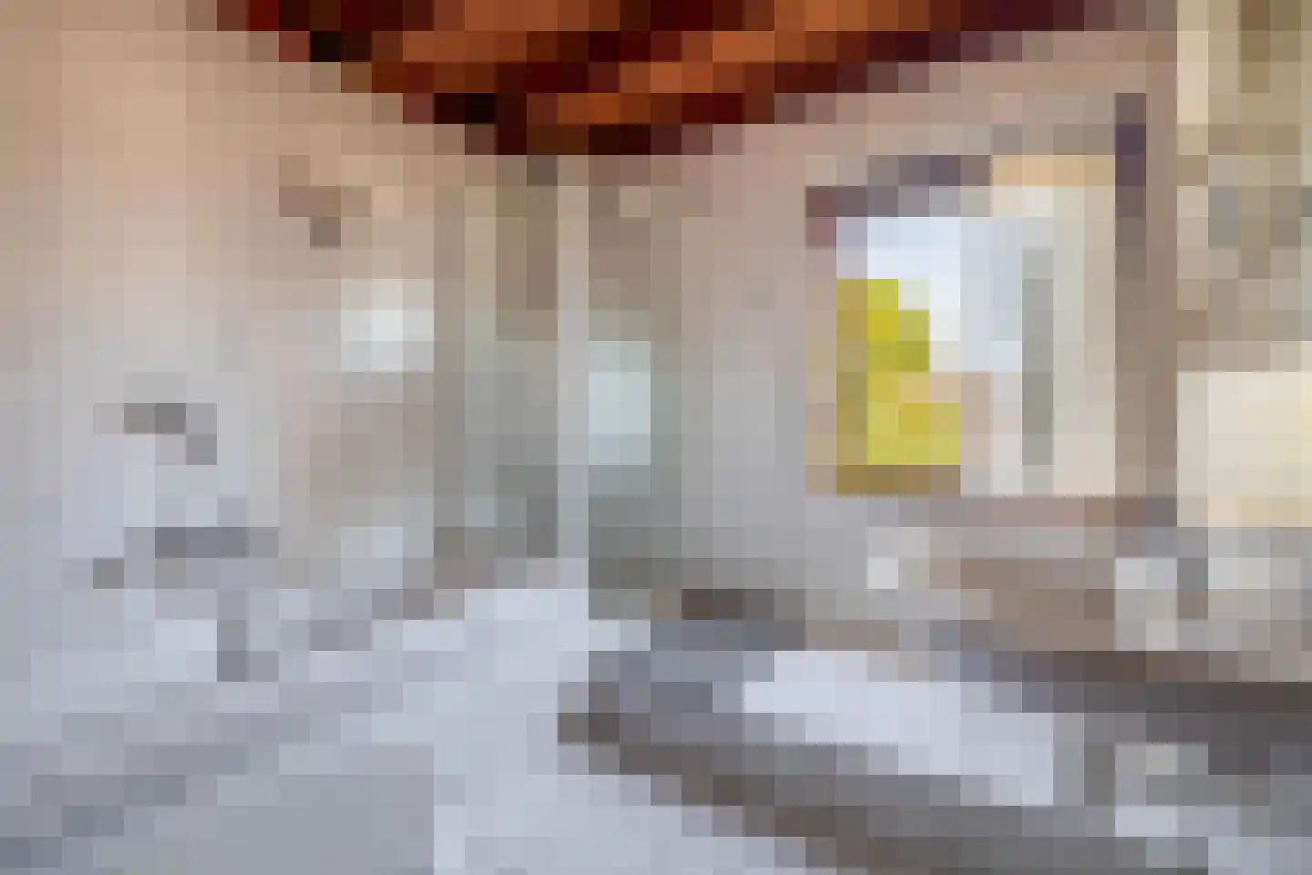 Lage Zandschel 4 Kaatsheuvel thumbnail 37