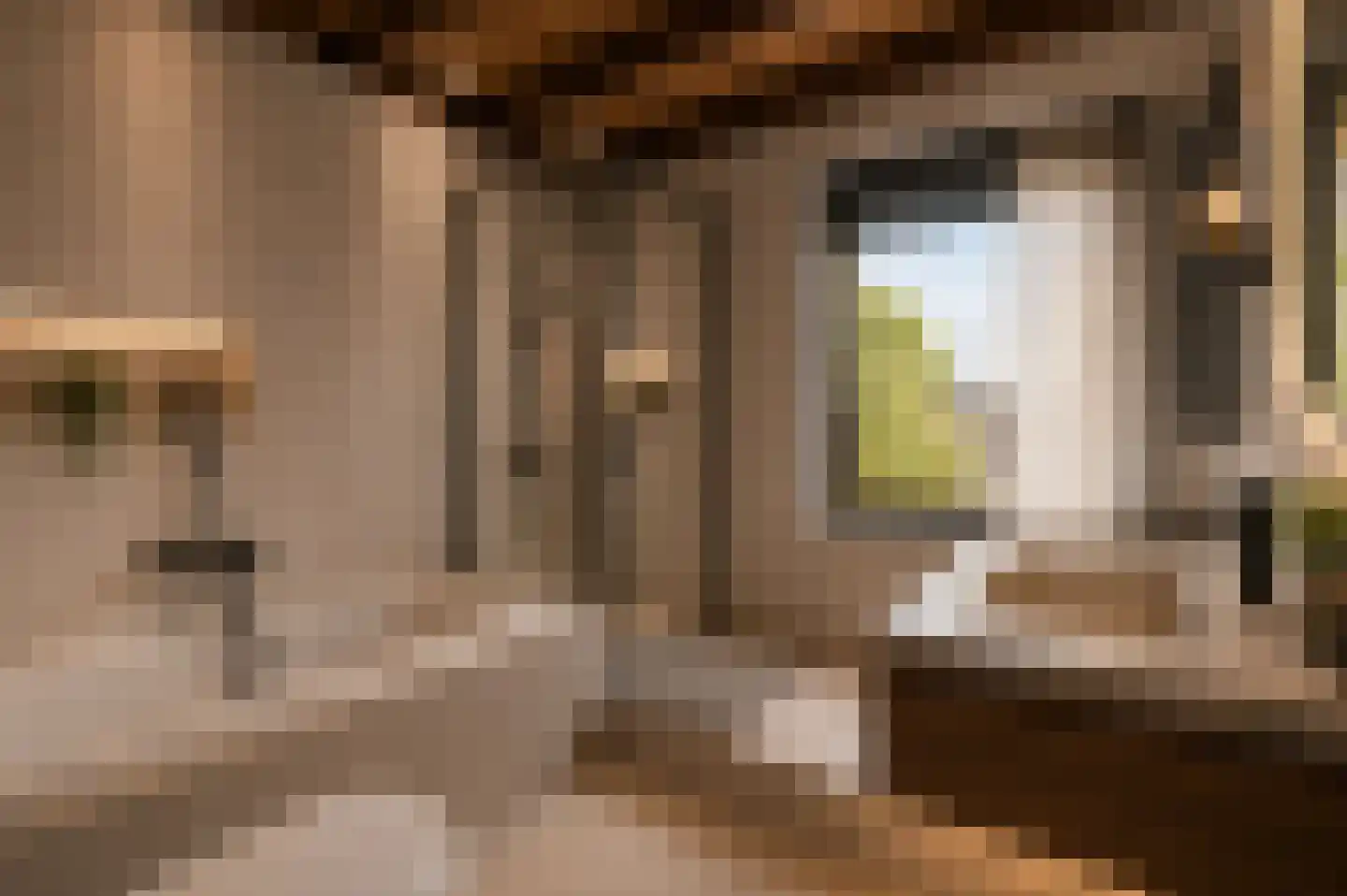 Lage Zandschel 4 Kaatsheuvel thumbnail 38