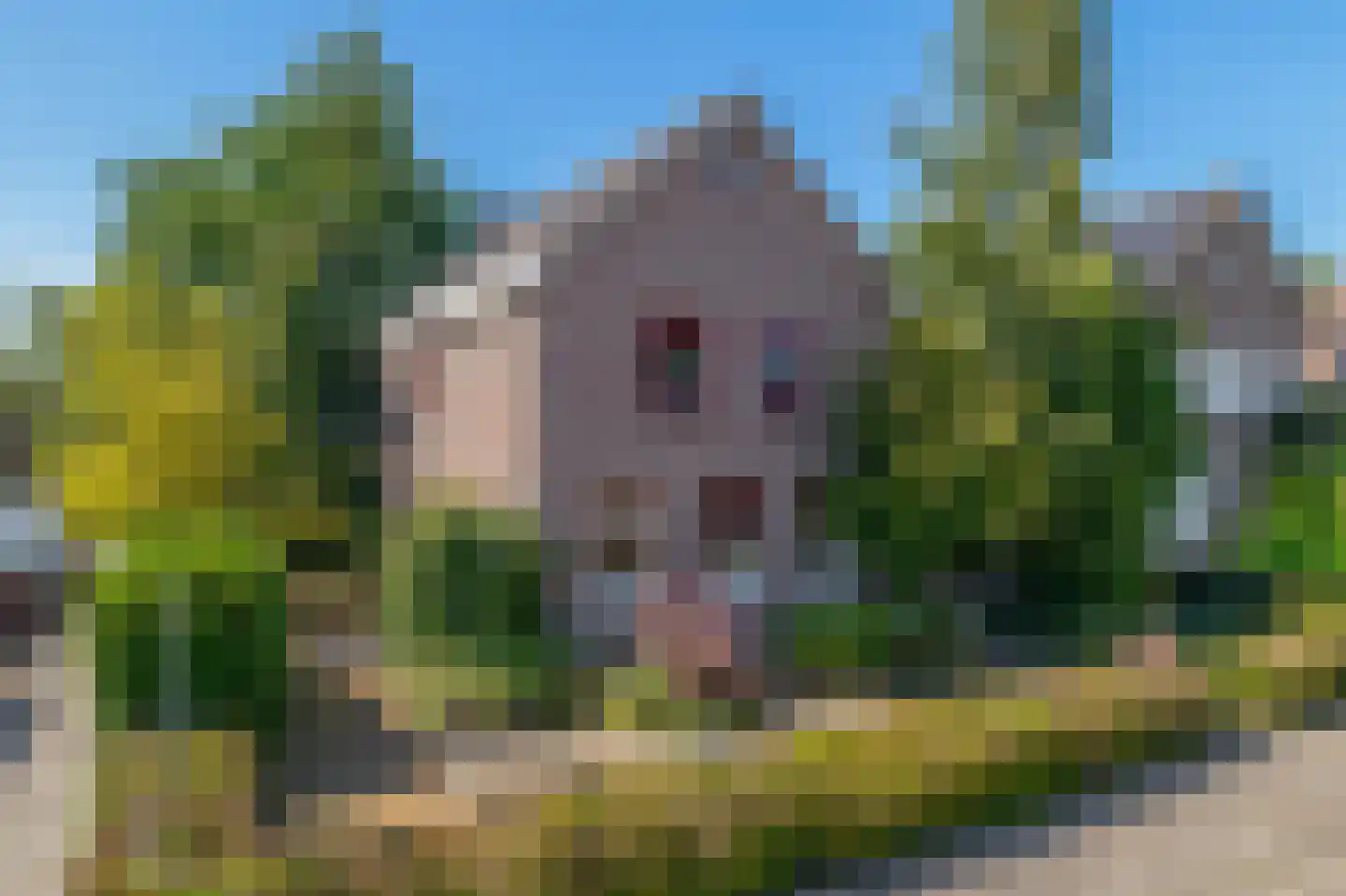 Lage Zandschel 4 Kaatsheuvel thumbnail 4