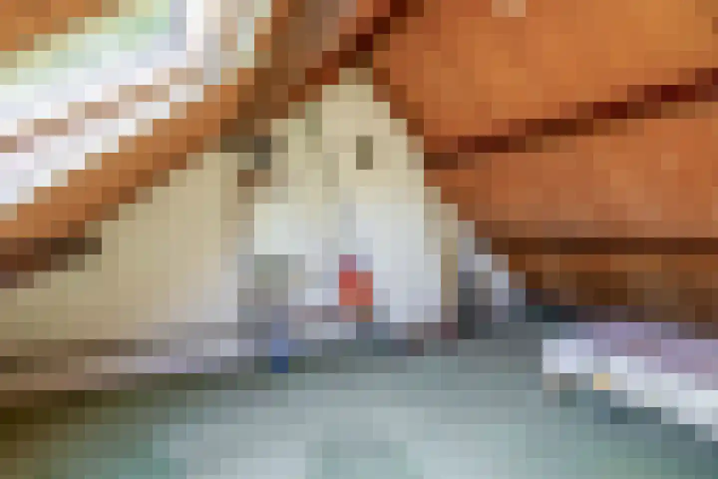 Lage Zandschel 4 Kaatsheuvel thumbnail 41