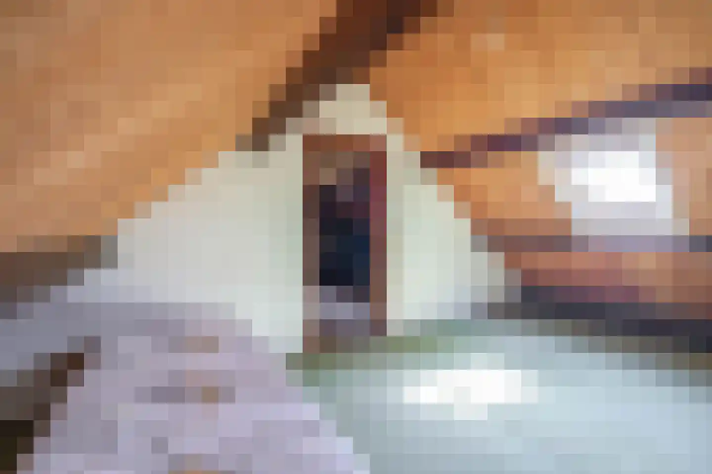 Lage Zandschel 4 Kaatsheuvel thumbnail 42