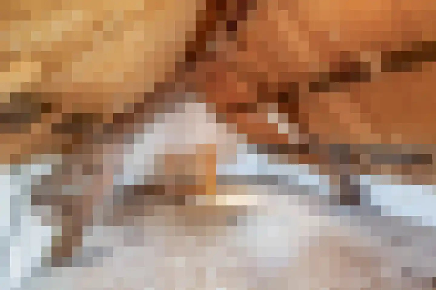 Lage Zandschel 4 Kaatsheuvel thumbnail 45