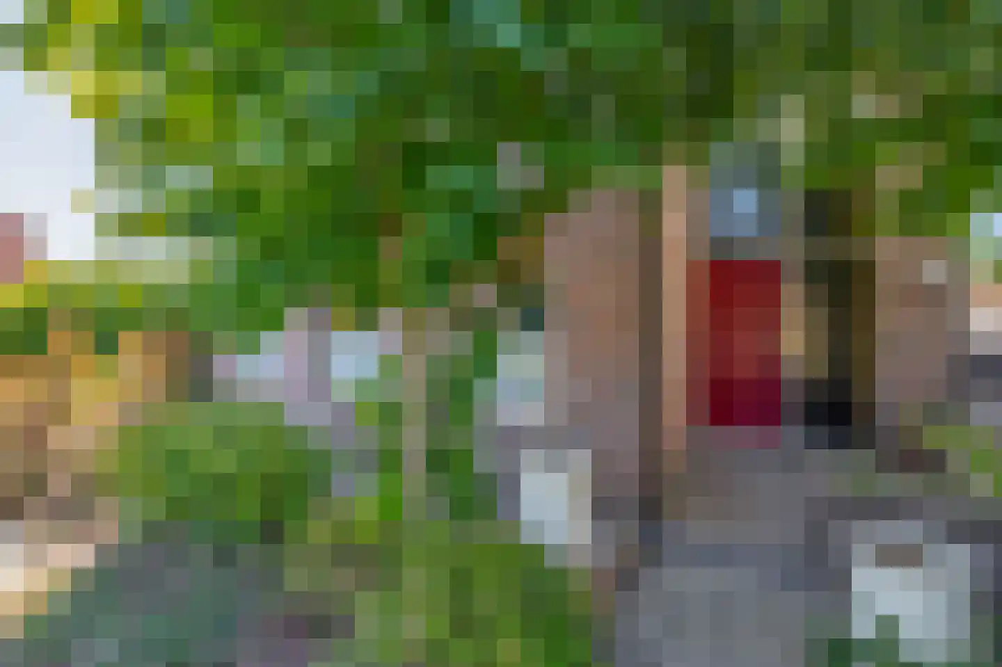Lage Zandschel 4 Kaatsheuvel thumbnail 7