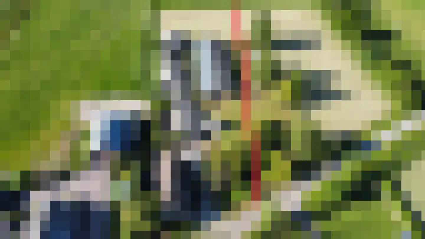 Lage Zandschel 50 Kaatsheuvel thumbnail 5