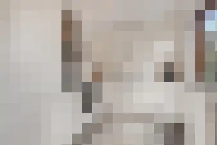 Lage Zandsestraat 8 Haalderen thumbnail 18