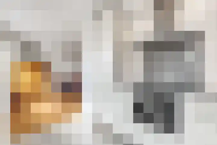 Lage Zandsestraat 8 Haalderen thumbnail 19