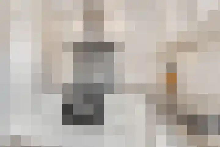 Lage Zandsestraat 8 Haalderen thumbnail 21