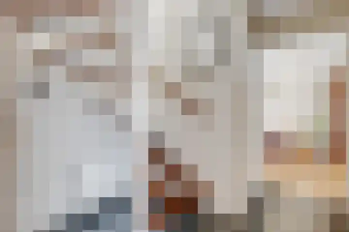 Lage Zandsestraat 8 Haalderen thumbnail 24