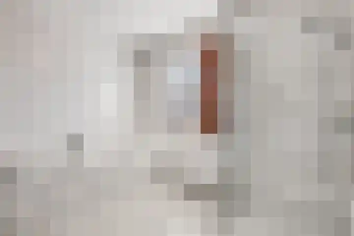 Lage Zandsestraat 8 Haalderen thumbnail 26
