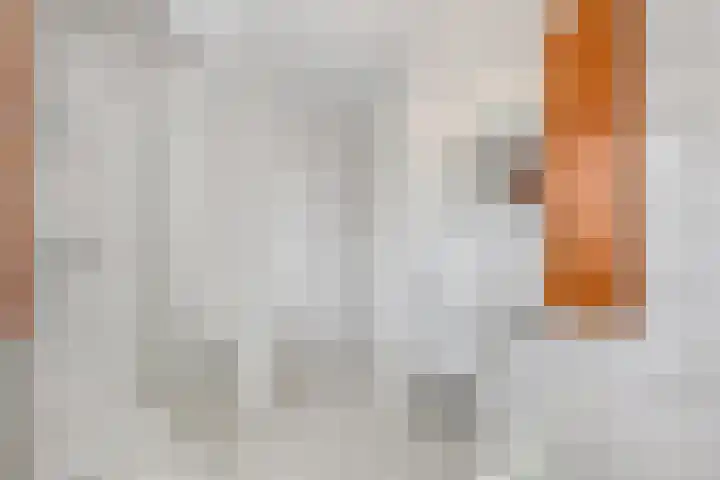 Lage Zandsestraat 8 Haalderen thumbnail 27