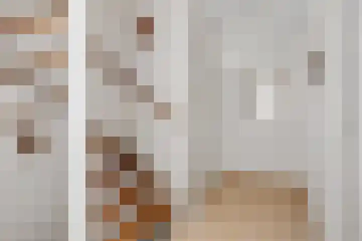 Lage Zandsestraat 8 Haalderen thumbnail 37