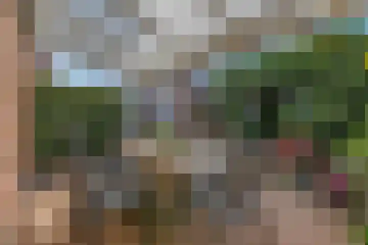 Lage Zandsestraat 8 Haalderen thumbnail 41