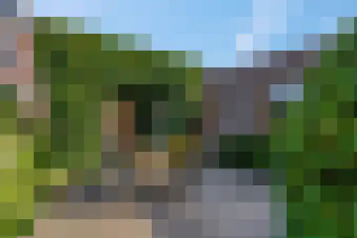 Lage Zandsestraat 8 Haalderen thumbnail 42