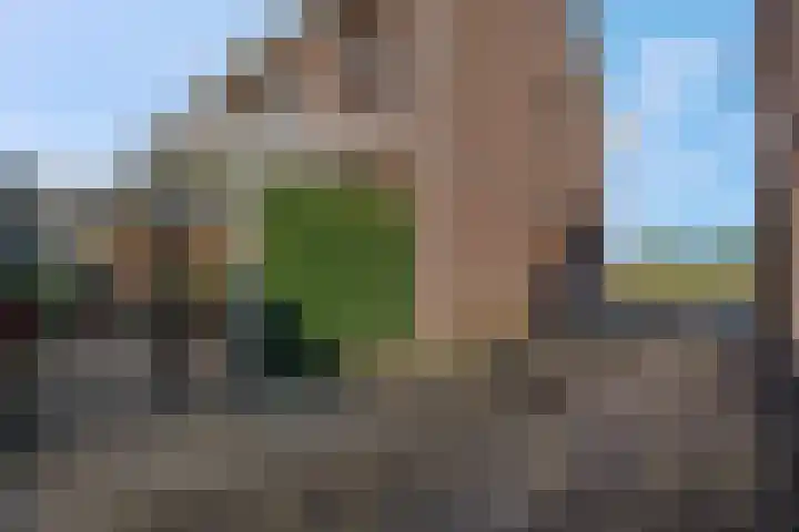 Lage Zandsestraat 8 Haalderen thumbnail 45
