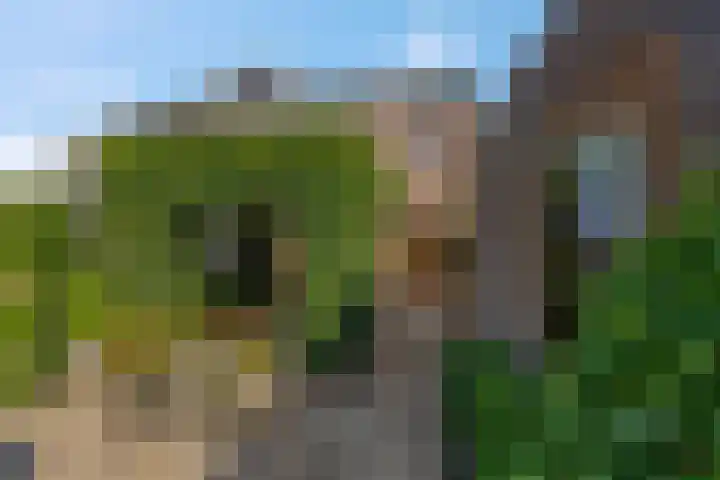 Lage Zandsestraat 8 Haalderen thumbnail 46