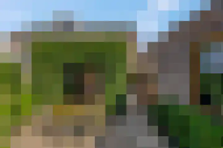 Lage Zandsestraat 8 Haalderen thumbnail 47