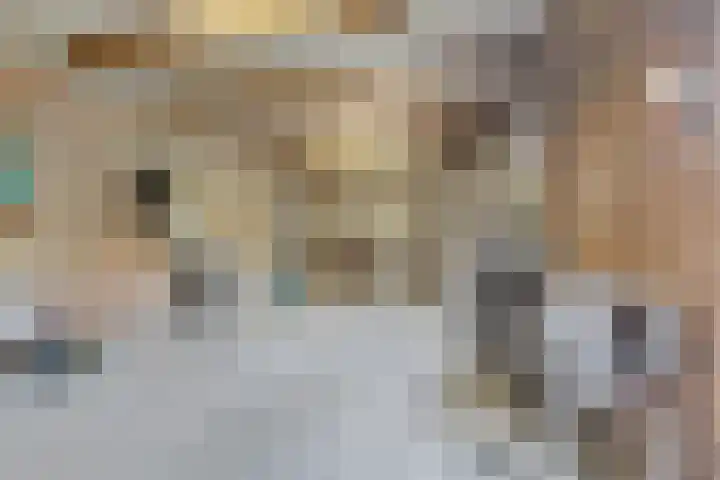 Lage Zandsestraat 8 Haalderen thumbnail 48
