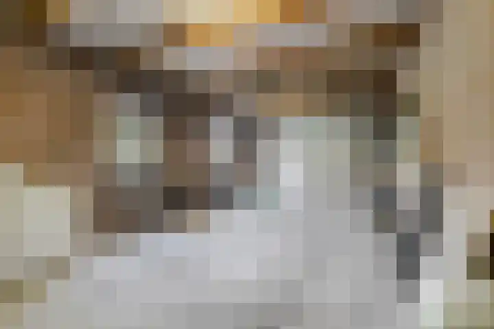 Lage Zandsestraat 8 Haalderen thumbnail 49