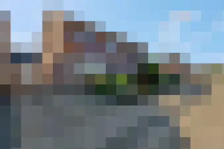 Lage Zandsestraat 8 Haalderen thumbnail 5