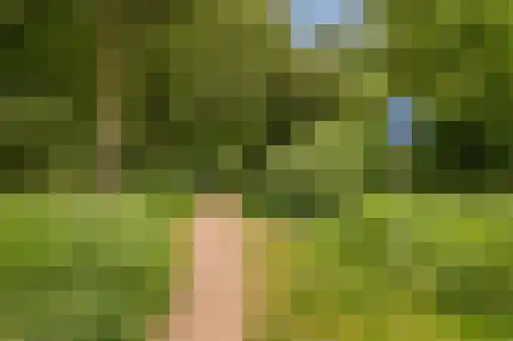 Lage Zandsestraat 8 Haalderen thumbnail 53