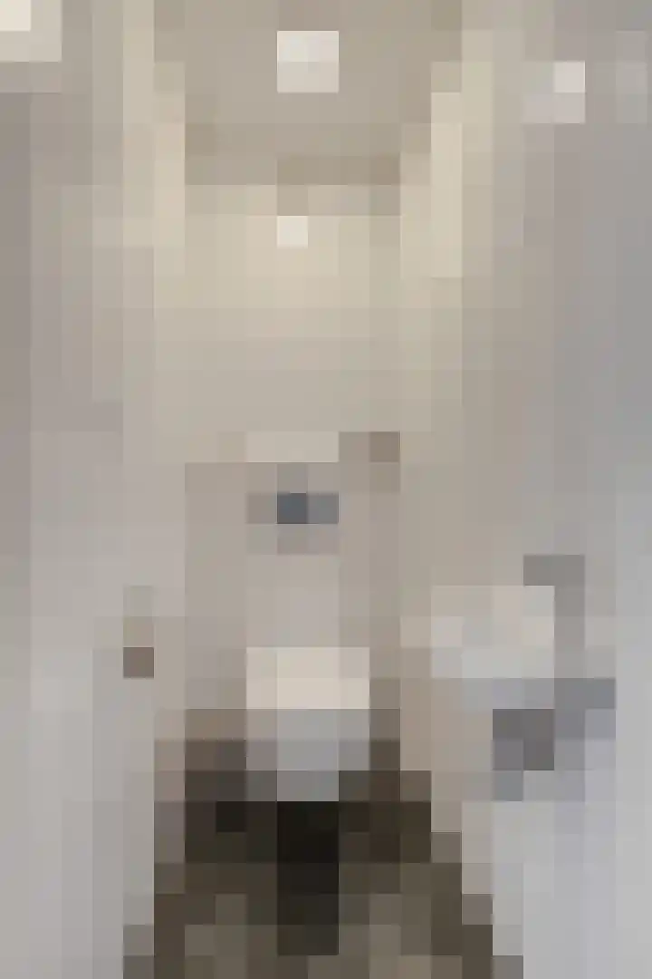 Lage Zandsestraat 8 Haalderen thumbnail 8