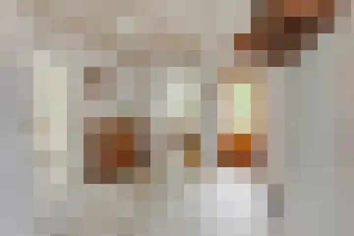 Lage Zijde 3 Bavel