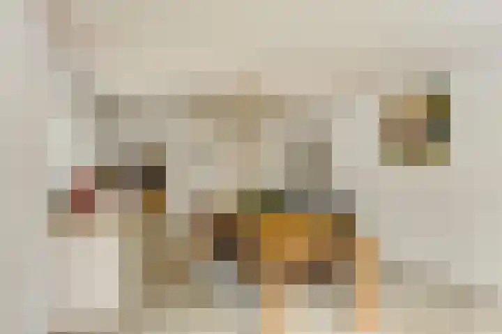 Lage Zijde 3 Bavel thumbnail 10