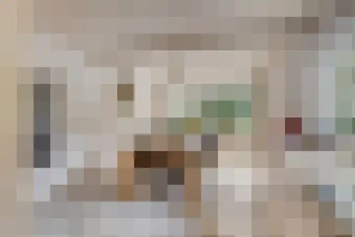 Lage Zijde 3 Bavel thumbnail 11